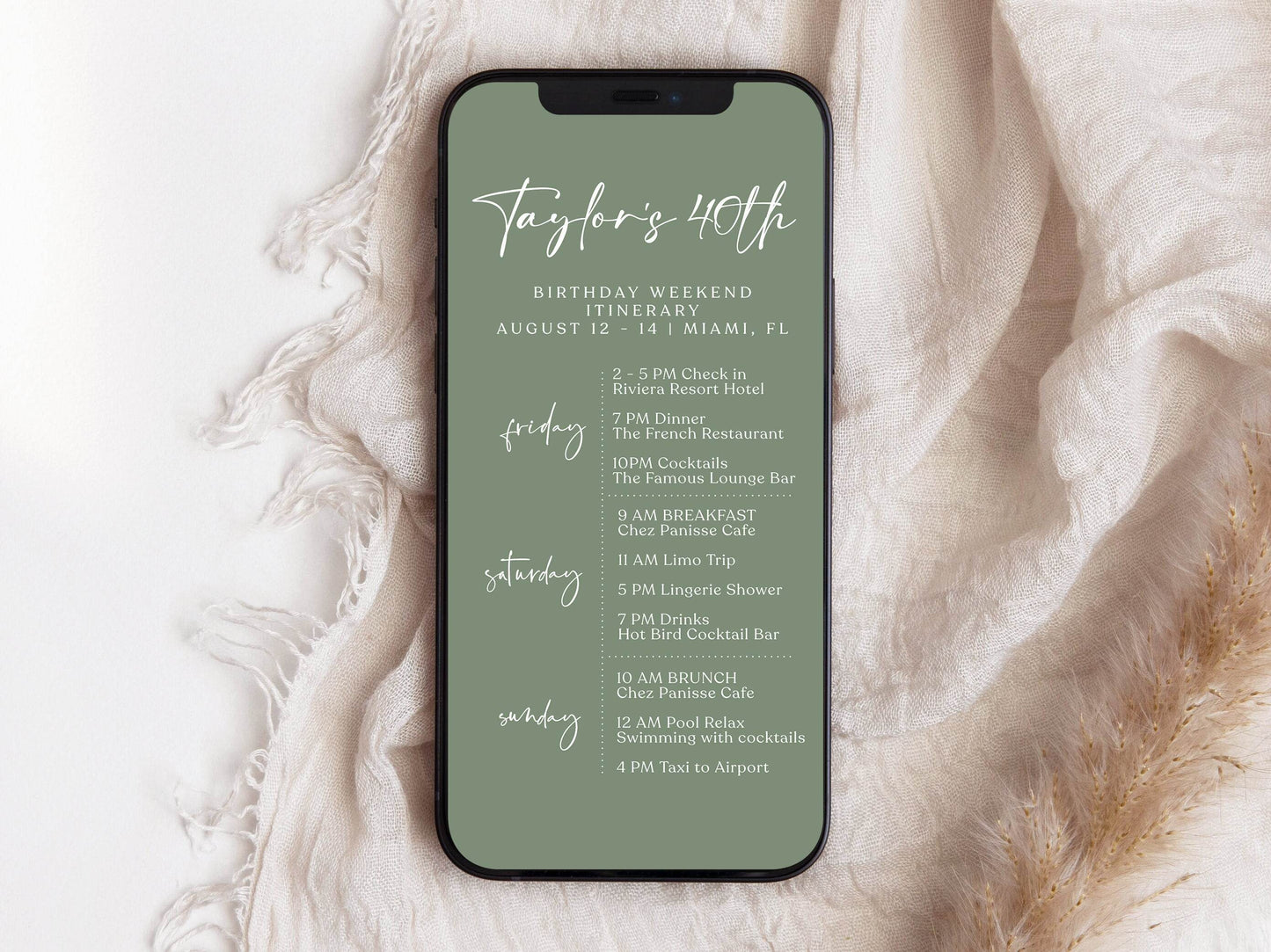 Sage Green 40th Birthday Itinerary Template, Editable Weekend Schedule, Digital Birthday Itinerary, Electronic Party Weekend Invite