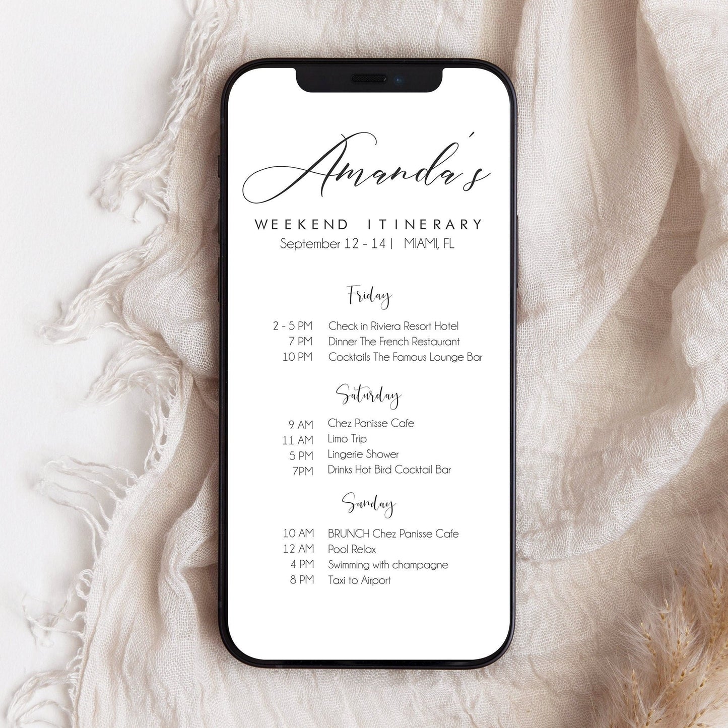 Digital Bachelorette Weekend Itinerary Invitation, Simple Editable Birthday Weekend Itinerary, Hen Party, Modern Electronic Weekend Template