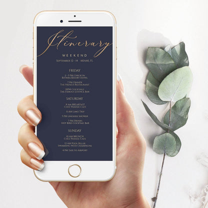 Electronic Itinerary Template, Editable Navy Gold Weekend Schedule, Hen Bachelorette Birthday Itinerary, Digital Elegant DIY Instant Download