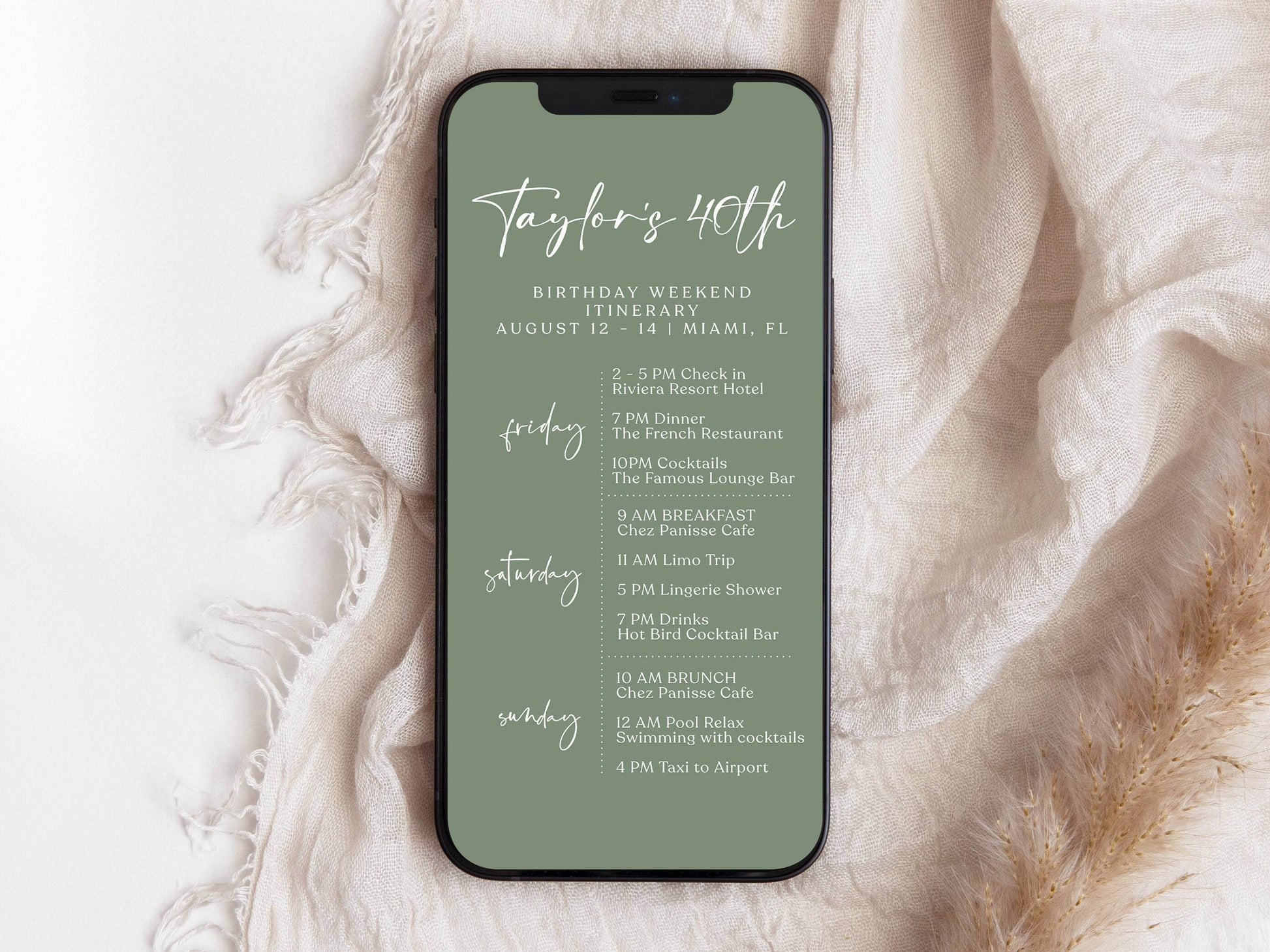 Sage Green 40th Birthday Itinerary Template, Editable Weekend Schedule, Digital Birthday Itinerary, Electronic Party Weekend Invite