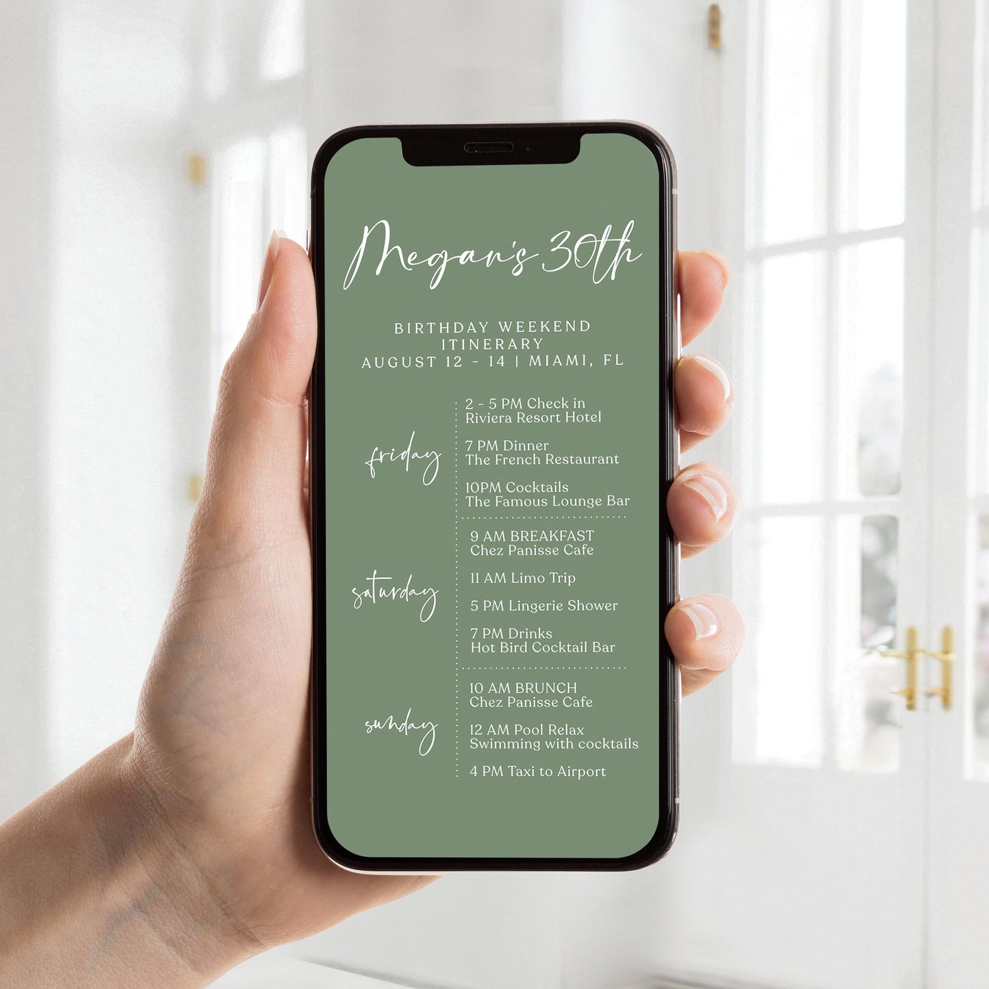 Digital Sage Green 30th Thirty Birthday Itinerary Template, Editable Birthday Weekend Itinerary, Electronic Weekend Itinerary Invitation