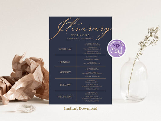 Printable Itinerary Template, Editable Gold Navy Weekend Schedule, Bachelorette or Hens Party Itinerary, Birthday Trip Planner, Instant Download