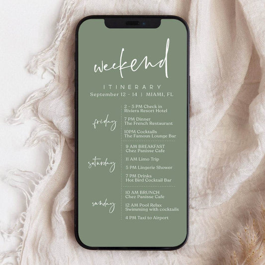 Sage Green Digital Weekend Itinerary Template, Editable Birthday or Bachelorette Mobile Schedule, Electronic Itinerary Text Message Evite