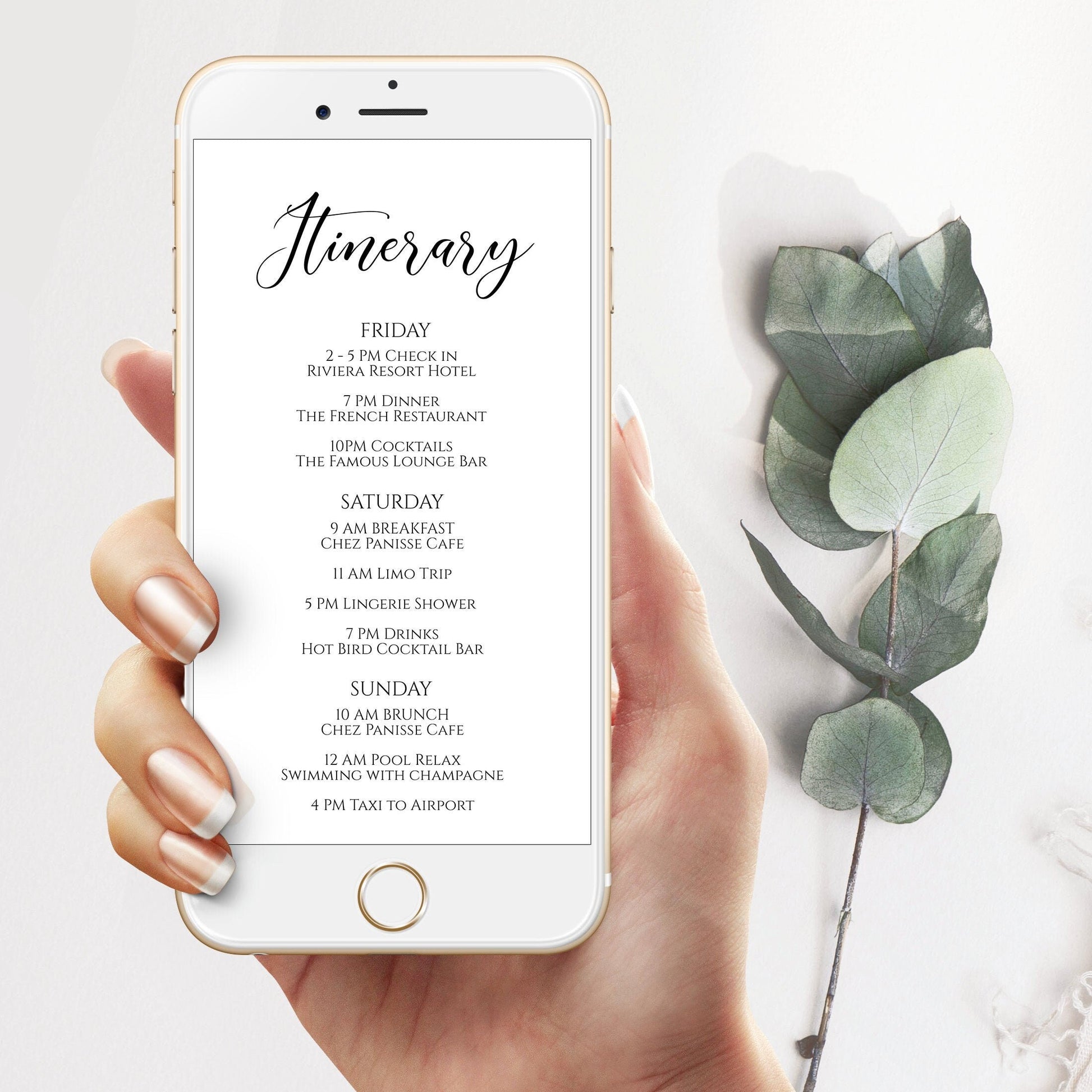 Electronic Itinerary, Bachelorette, Wedding, Family Reunion, Electronic Schedule, Email Itinerary, Editable Text Message Invitation