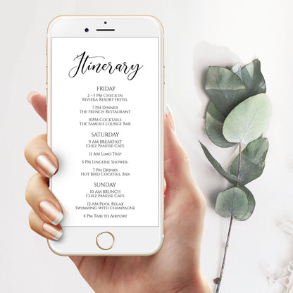 Electronic Itinerary, Bachelorette, Wedding, Family Reunion, Electronic Schedule, Email Itinerary, Editable Text Message Invitation