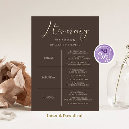 Printable Weekend Itinerary Template – Editable Gold and Brown Hens Party & Bachelorette Weekend Schedule – Birthday Weekend Planner – Instant Download