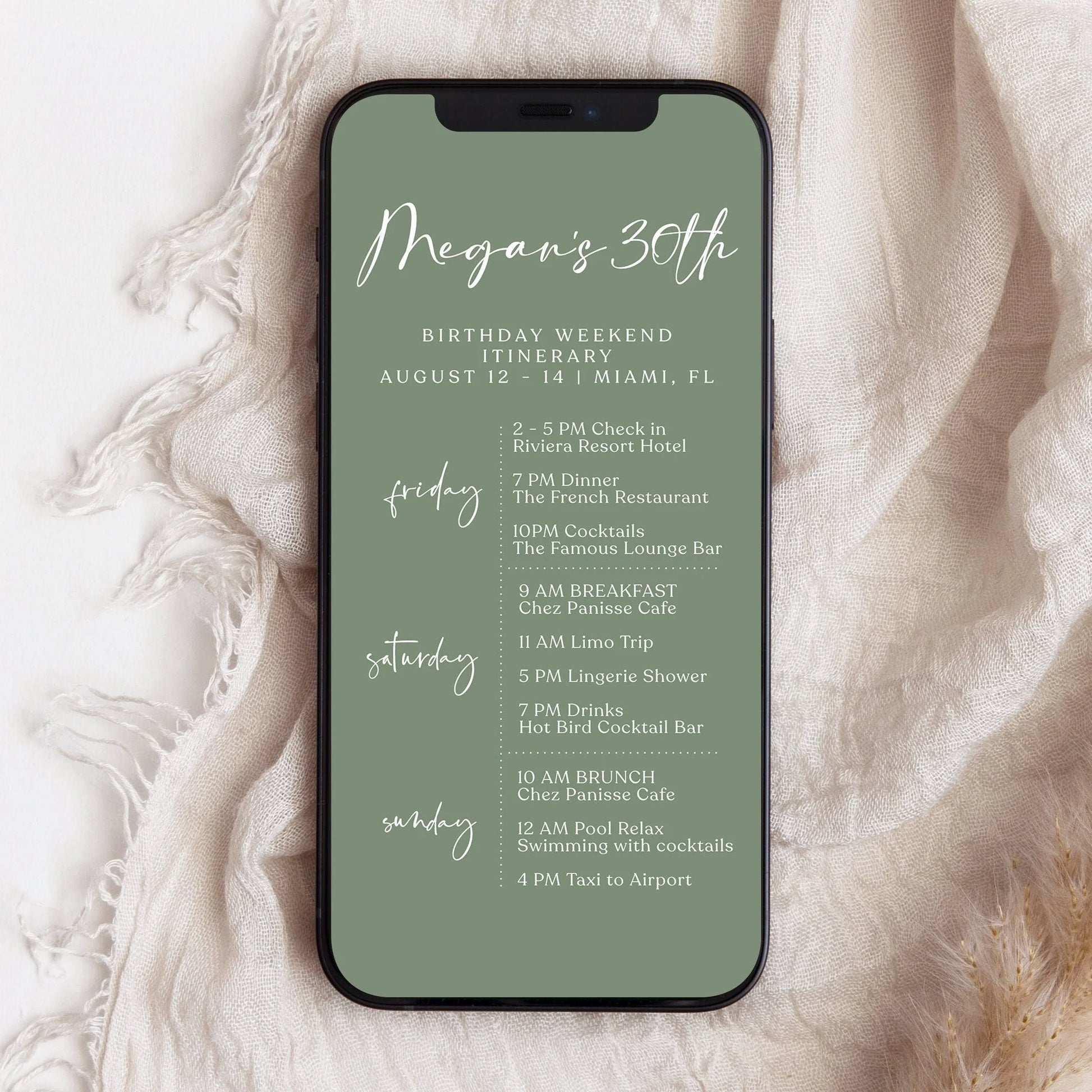 Digital Sage Green 30th Thirty Birthday Itinerary Template, Editable Birthday Weekend Itinerary, Electronic Weekend Itinerary Invitation